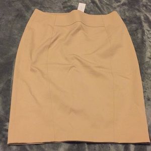 Ann Taylor skirt